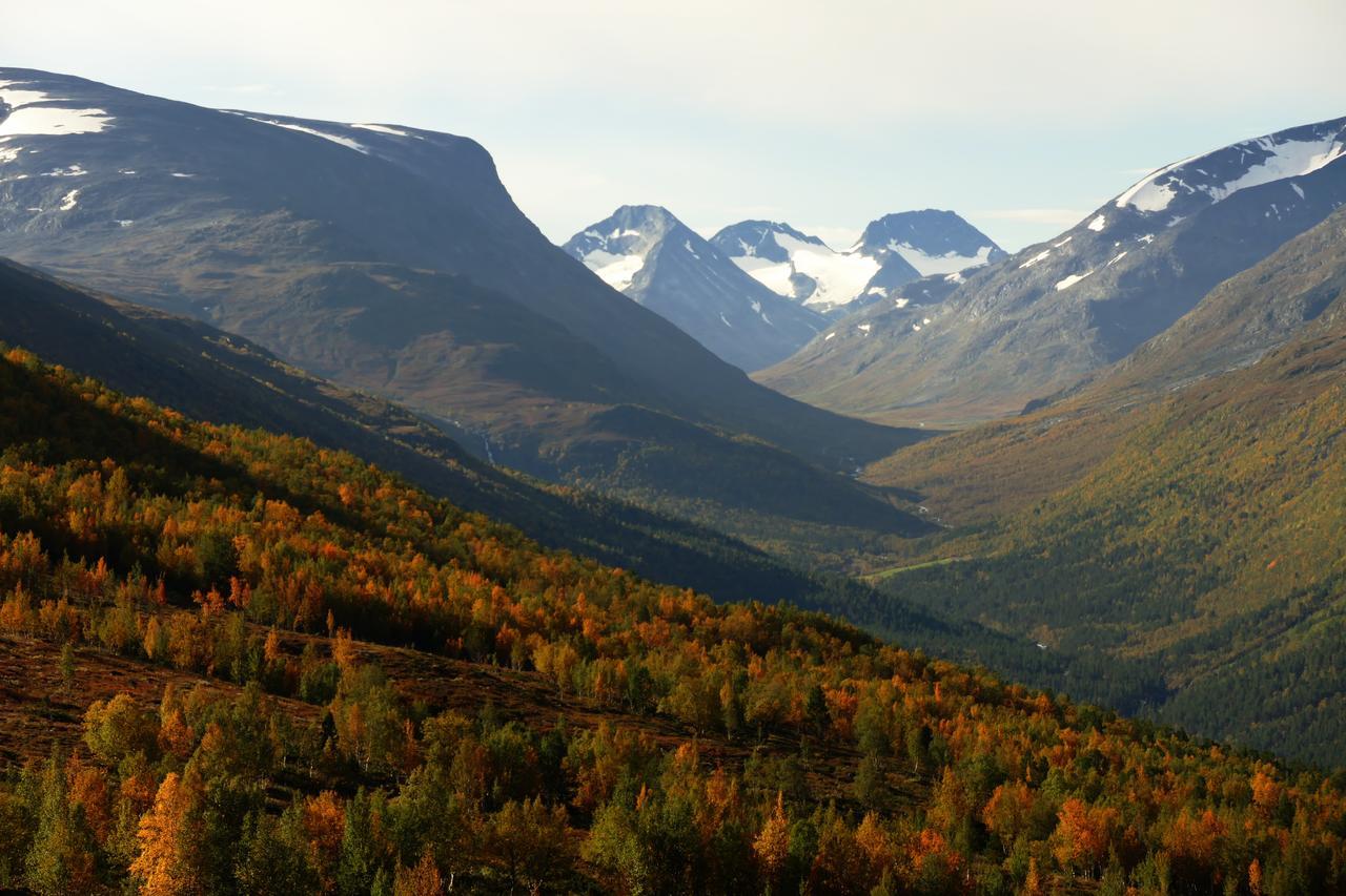 Boverdalen Strind Gard, Visdalssetraヴィラ エクステリア 写真