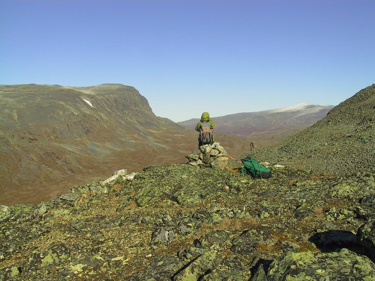 Boverdalen Strind Gard, Visdalssetraヴィラ エクステリア 写真