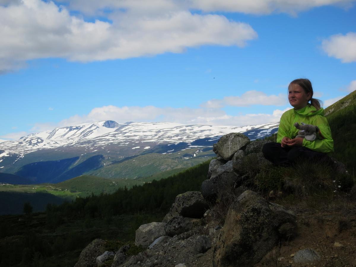 Boverdalen Strind Gard, Visdalssetraヴィラ エクステリア 写真