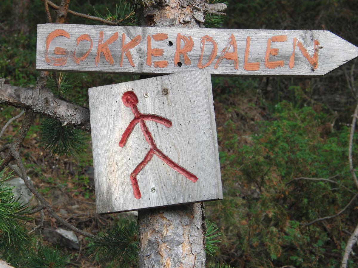 Boverdalen Strind Gard, Visdalssetraヴィラ エクステリア 写真