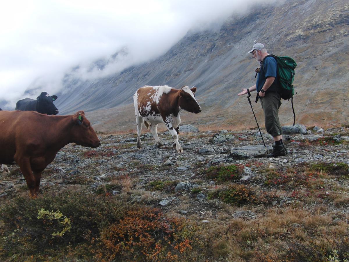 Boverdalen Strind Gard, Visdalssetraヴィラ エクステリア 写真